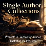Precepts in Practice or Stories Illustrating the Proverbs - Charlotte Maria Tucker A L O E