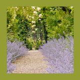 #238 Come progettare un giardino che cresce bene nel tempo