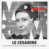 Le Cesarine: la più antica rete di cuoche casalinghe d'Italia
