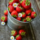 Fragole: il frutto della primavera che nutre, protegge e sorprende