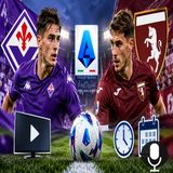 Fiorentina Torino, dove vederla e a che ora si gioca