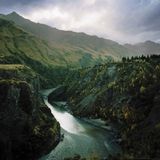 I fiumi di Giuseppe Ungaretti: analisi e significato