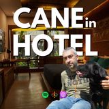 136 - Come scelgo l'hotel per me e il mio cane