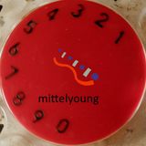 Immagine di copertina di 'Mittel YOUNG'