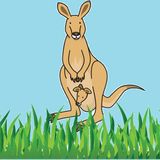 How the Kangaroo got its Pouch