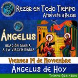 Reza el ángelus del día de hoy Viernes 14 de Noviembre 2025.