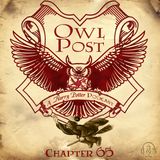 Chapter 065: The Quidditch World Cup