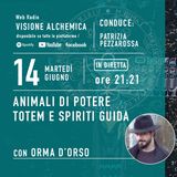 ORMA D'ORSO - ANIMALI DI POTERE TOTEM E SPIRITI GUIDA