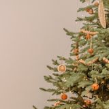 La fisica che ci piace, Schettini: «Tre equazioni per l'albero di Natale perfetto»