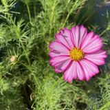 Interstellar AI: Darkness and Light