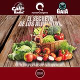 NUESTRO OXÍGENO El secreto de los alimentos, microbiología en acción