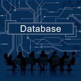 Implement Database Structure for Team Management with ClickIT