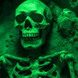 Usaban HUESOS HUMANOS Para Hacer Café Especial Historias De Terror - REDE
