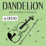 Episodio 1. Un violino a Padula