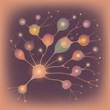 Autism in Adults: Late Diagnosis Signs Women Report Most