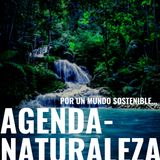 Agenda Naturaleza 68. Ecología en la oficina.
