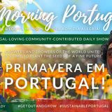 Growing food, Talking Shop & Loving the Planet - 'Primavera em Portugal' on Good Morning Portugal!