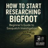 How to Start Researching Bigfoot: A Beginner’s Guide to the Unknown