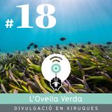 18 | Descobrint la "Posidonia oceanica", el pulmó del Mediterrani, amb l'Andrea Comaposada Garcia (Anèl·lides)