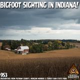 Bigfoot Sighting in Indiana: Terry’s True Encounter near Morgan Monroe & Putnam County