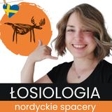 #059 Zamknięty wąwóz, pożary i nowy szlak. Aktualności z Wysokiego Wybrzeża w Szwecji