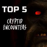 TOP 5 Cryptid Encounters