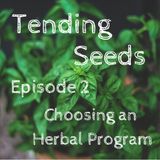Ep 2 - Choosing an Herbal Program