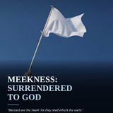 MEEKNESS: SURRENDERED TO GOD (Episode 838 - Preachify Daily Devotional)