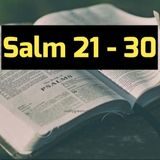 Salm 21-30 || Hakha Bible
