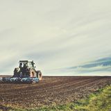 Breves de actualidad: El campo español resiste y sube el empleo un 6%