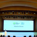Giornata mondiale dell’Ambiente, allarme Onu: “Urge una transizione”