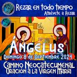 ángelus del día de hoy DOMINGO 8 DE SEPTIEMBRE 2024 🌹Oración diaria del angelus a la Virgen María💙