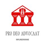 Hoe werkt het als je inkomen verandert tijdens een pro deo procedure?