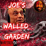 #320 What The Elephant Graveyard Missed W/ Alan Berman #Rogan