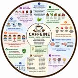 EP-310:  ☕ Caffeine কোথায় লুকিয়ে আছে? | Top 10 Hidden Sources of Caffeine | wellness podcast