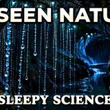 The Unseen Side of Nature _ Amazing Facts For Deep Sleep
