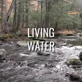Living Water - Morning Manna #3139