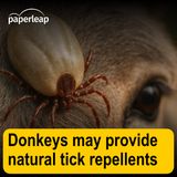 Donkeys may provide natural tick repellents