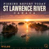 St. Lawrence River Steelhead and Browns Heat Up in April