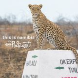 Large cats of etosha