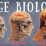 How the Rage Virus Rewires the Brain—Second by Second _ 28 Days Later Biology