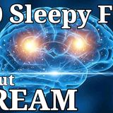 Why Your Brain Erases Dreams Every Night _ Calm Sleep Science
