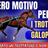 # 152 - Galoppare con un trottatore