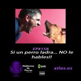 Episodio #158: Si un perro te ladra… NO le hables!!