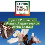 Spécial Printemps : Vivaces, Astuces pour un Jardin Éclatant