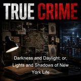 Darkness and Daylight or Lights and Shadows of New York Life - Lyman Abbott Thomas Byrnes Helen S Campbell Thomas Wallace Knox - Part 3