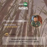 Mato Grosso do Sul tem aumento de 49% na produção de soja