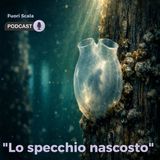 Fuori Scala #42 🪞 Lo specchio nascosto