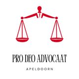 Welke zaken worden vaak door pro deo advocaten behandeld?
