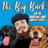 The Big Bark Dog podcast #25 Trailing & Tailing at Bark Park with Jamie Sugrue